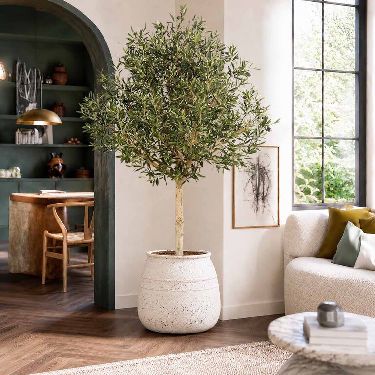 Kunstplant Olijfboom met groene bladeren en olijven is een grote kunstplant in binnenpot met een natuurgetrouwe uitstraling en een hoogte van 180 cm.