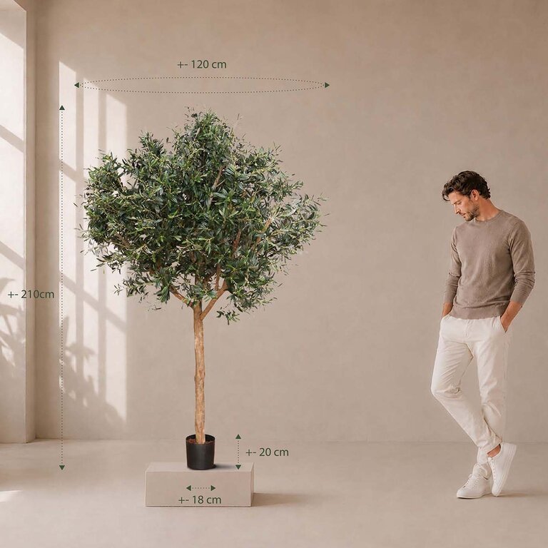Kunstplant Olijfboom met groene bladeren en olijven is een grote kunstplant in binnenpot met een natuurgetrouwe uitstraling en een hoogte van 210 cm.