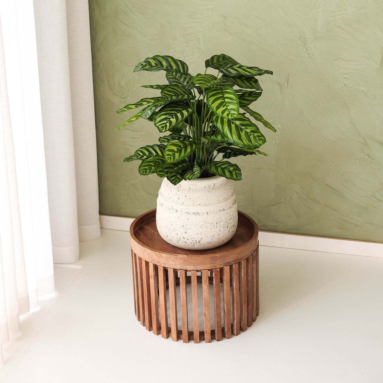 Kunstplant Calathea met groene bladeren is een middelgrote kunstplant in binnenpot met een natuurgetrouwe uitstraling en een hoogte van 78 cm.
