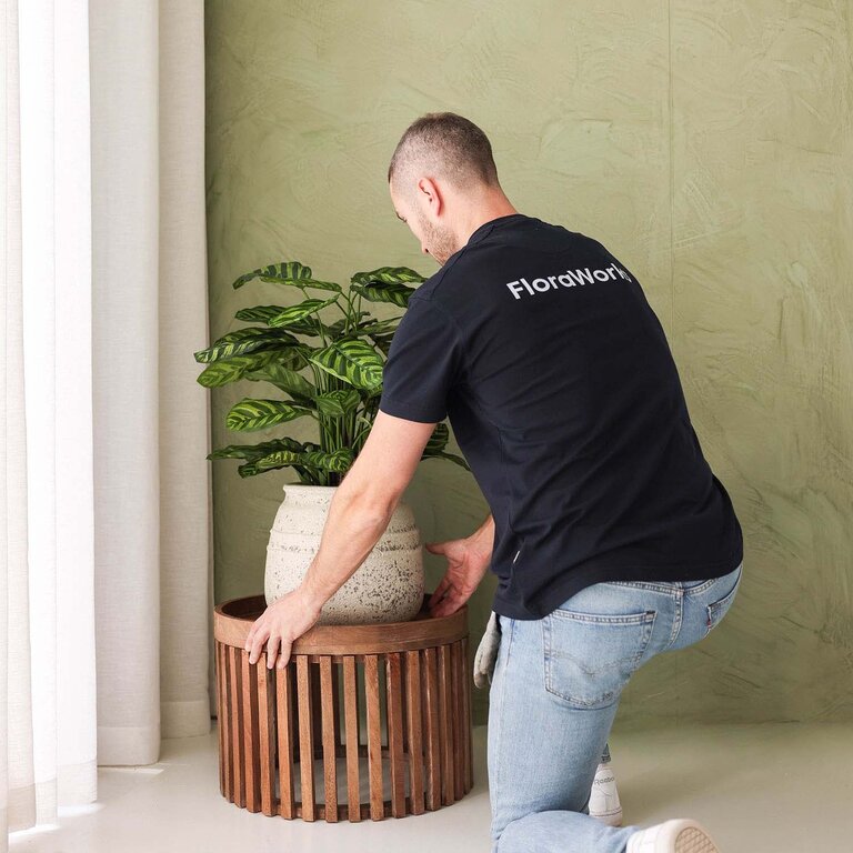 Kunstplant Calathea met groene bladeren is een middelgrote kunstplant in binnenpot met een natuurgetrouwe uitstraling en een hoogte van 78 cm.