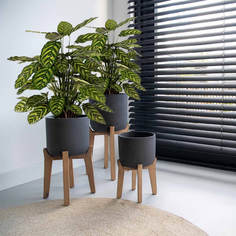 Kunstplant Calathea met groene bladeren is een middelgrote kunstplant in binnenpot met een natuurgetrouwe uitstraling en een hoogte van 78 cm.
