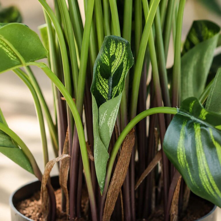 Kunstplant Calathea met groene bladeren is een middelgrote kunstplant in binnenpot met een natuurgetrouwe uitstraling en een hoogte van 80 cm.