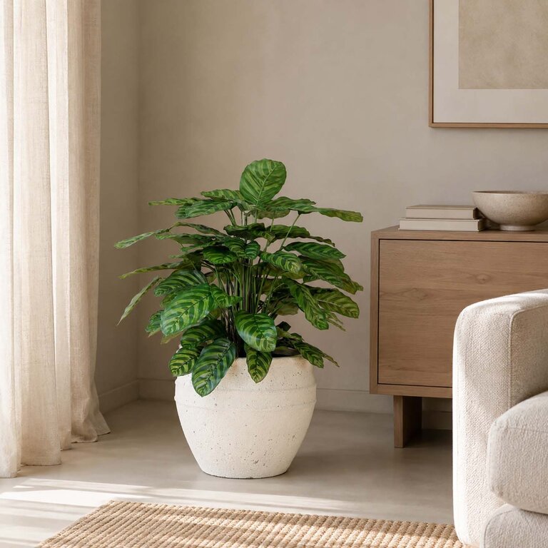 Kunstplant Calathea met groene bladeren is een middelgrote kunstplant in binnenpot met een natuurgetrouwe uitstraling en een hoogte van 80 cm.