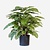 FloraWorks Kunstplant Calathea (80 cm)