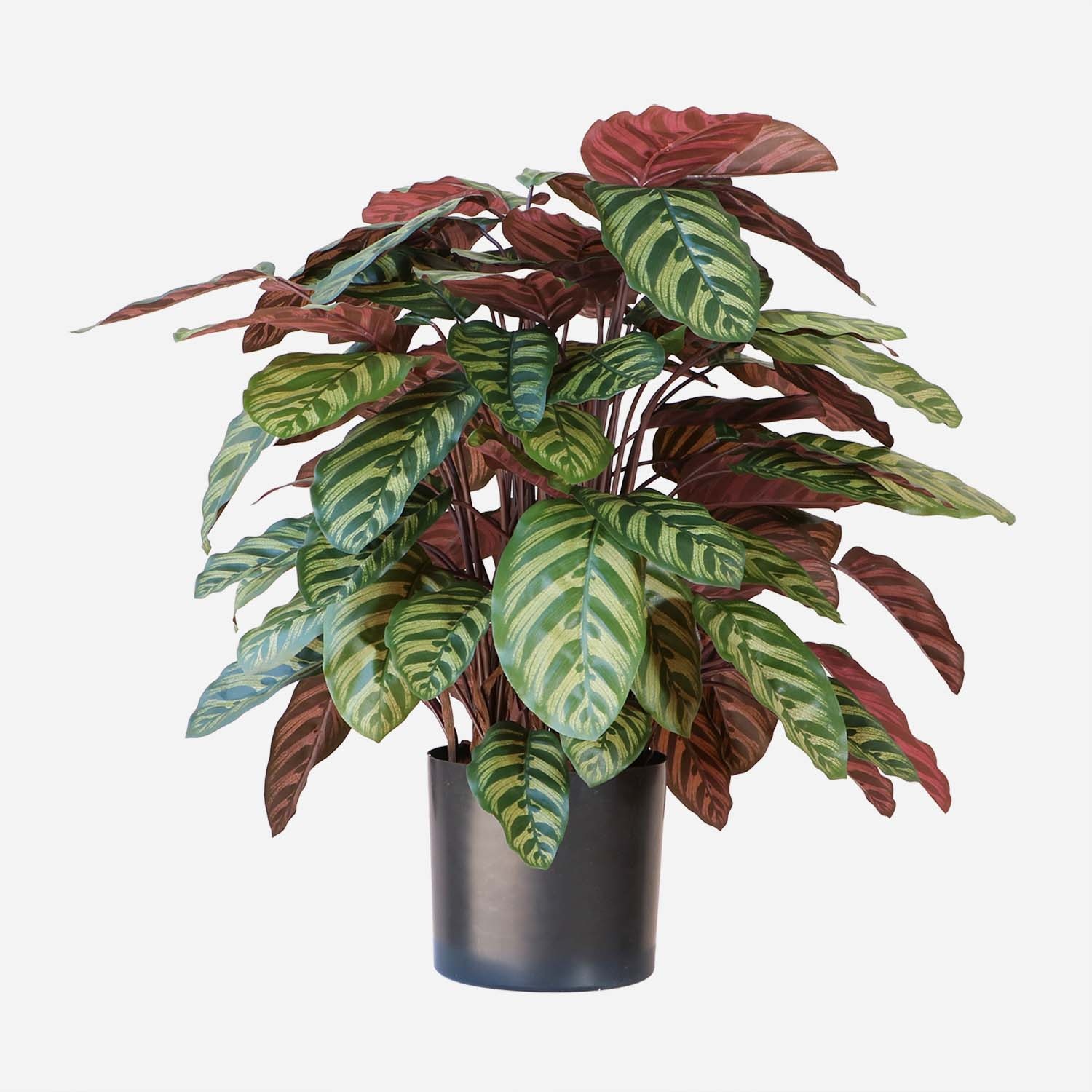 FloraWorks Kunstplant Calathea groenrood (80 cm)