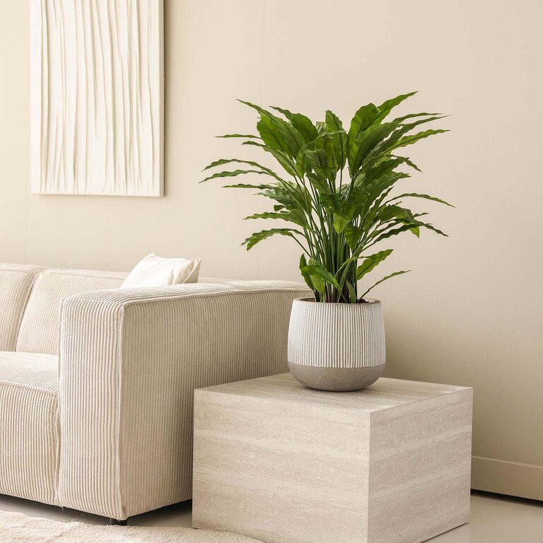 Kunstplant Calathea met groene bladeren is een middelgrote kunstplant in binnenpot met een natuurgetrouwe uitstraling en een hoogte van 84 cm.