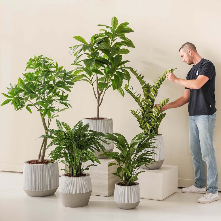 Kunstplant Calathea met groene bladeren is een middelgrote kunstplant in binnenpot met een natuurgetrouwe uitstraling en een hoogte van 84 cm.