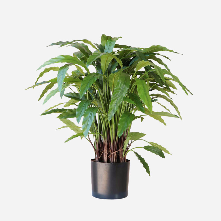 Kunstplant Calathea met groene bladeren is een middelgrote kunstplant in binnenpot met een natuurgetrouwe uitstraling en een hoogte van 86 cm.