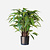 FloraWorks Kunstplant Calathea (86 cm)