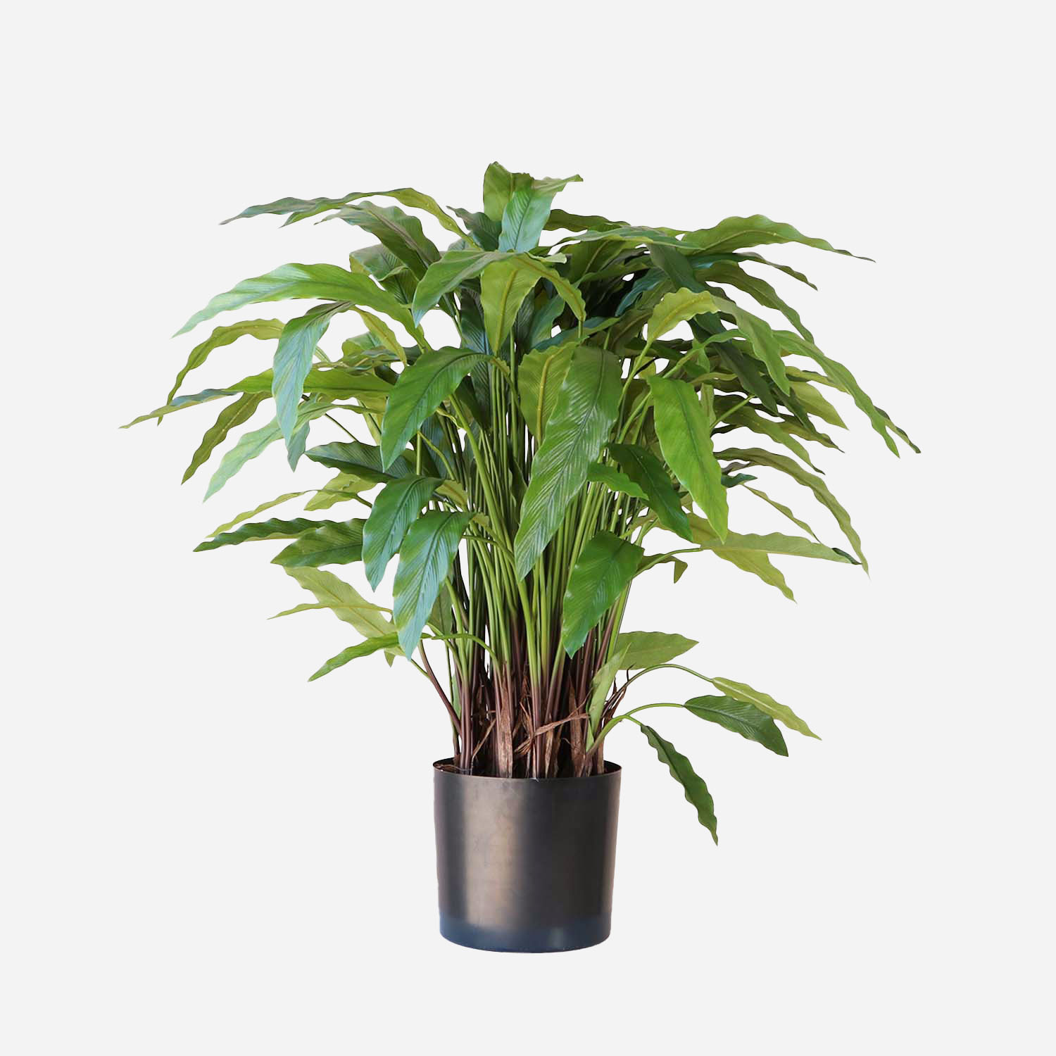 FloraWorks Kunstplant Calathea (86 cm)