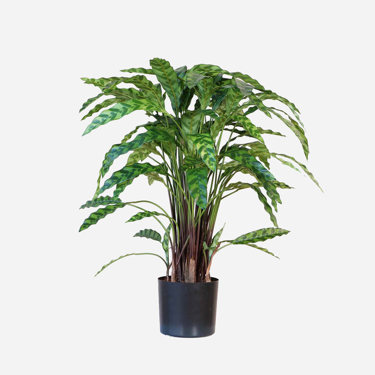 Kunstplant Calathea Insigne met groene bladeren is een middelgrote kunstplant in binnenpot met een natuurgetrouwe uitstraling en een hoogte van 84 cm.