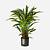 FloraWorks Kunstplant Calathea (84 cm)