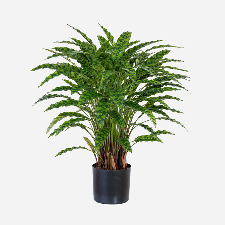 Kunstplant Calathea Insigne met groene bladeren is een middelgrote kunstplant in binnenpot met een natuurgetrouwe uitstraling en een hoogte van 86 cm.