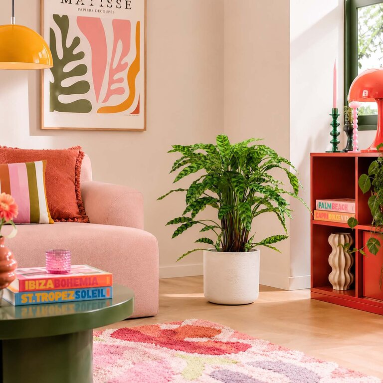 Kunstplant Calathea Insigne met groene bladeren is een middelgrote kunstplant in binnenpot met een natuurgetrouwe uitstraling en een hoogte van 84 cm.