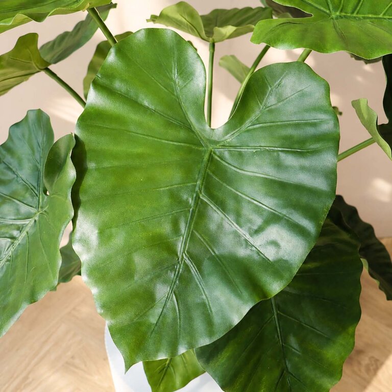 Kunstplant Alocasia Calidora met groene bladeren is een middelgrote kunstplant in binnenpot met een natuurgetrouwe uitstraling en een hoogte van 75 cm.