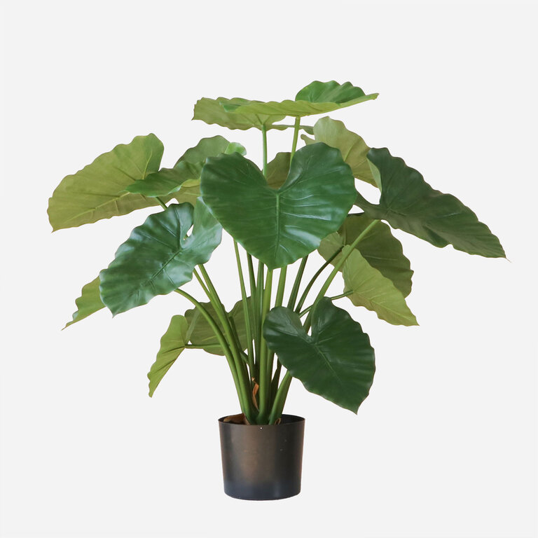 Kunstplant Alocasia Calidora met groene bladeren is een middelgrote kunstplant in binnenpot met een natuurgetrouwe uitstraling en een hoogte van 75 cm.
