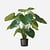 FloraWorks Kunstplant Alocasia Calidora (75 cm)