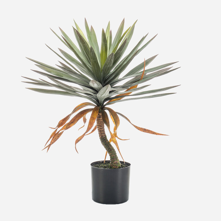 Kunstplant Yucca op stam met groene bladeren is een middelgrote kunstplant in binnenpot met een natuurgetrouwe uitstraling en een hoogte van 75 cm.