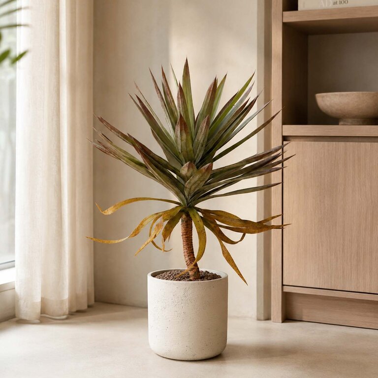 Kunstplant Yucca op stam met groene bladeren is een middelgrote kunstplant in binnenpot met een natuurgetrouwe uitstraling en een hoogte van 75 cm.
