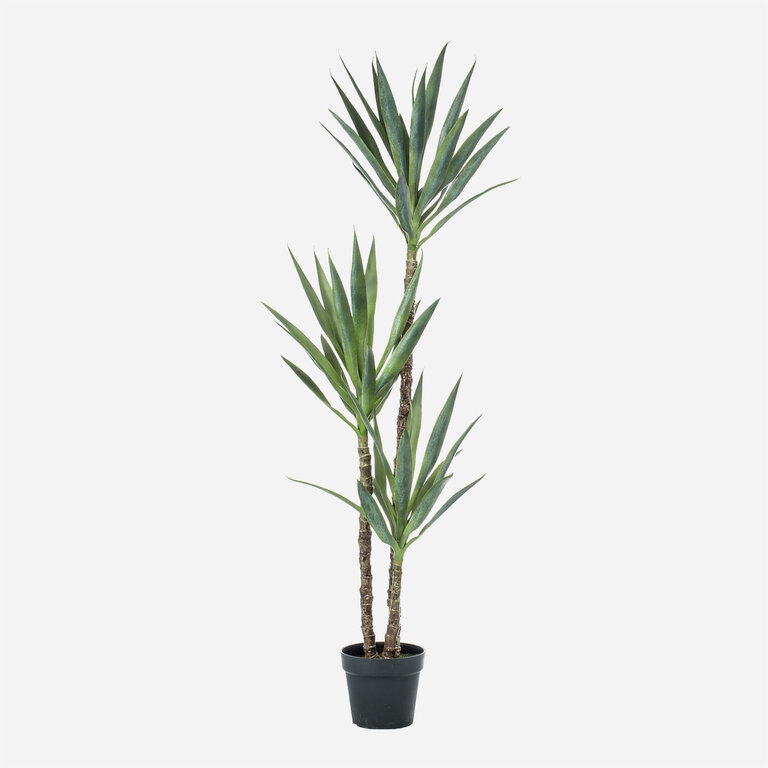 Kunstplant Yucca driestammig met groene bladeren is een grote kunstplant in binnenpot met een natuurgetrouwe uitstraling en een hoogte van 150 cm.