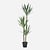 FloraWorks Kunstplant Yucca driestammig (150 cm)