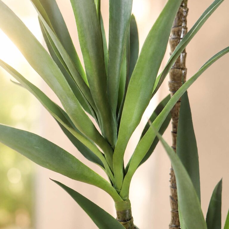 Kunstplant Yucca driestammig met groene bladeren is een grote kunstplant in binnenpot met een natuurgetrouwe uitstraling en een hoogte van 150 cm.