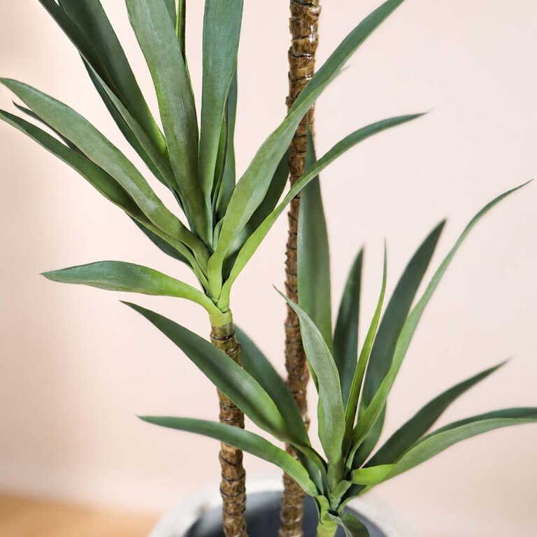 Kunstplant Yucca driestammig met groene bladeren is een grote kunstplant in binnenpot met een natuurgetrouwe uitstraling en een hoogte van 150 cm.