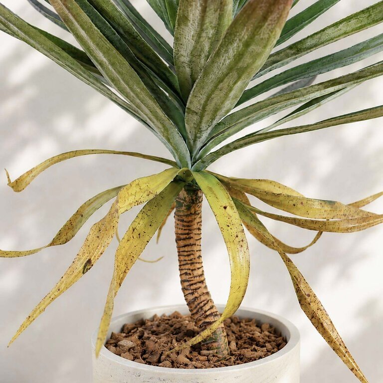 Kunstplant Yucca op stam met groene bladeren is een middelgrote kunstplant in binnenpot met een natuurgetrouwe uitstraling en een hoogte van 75 cm.