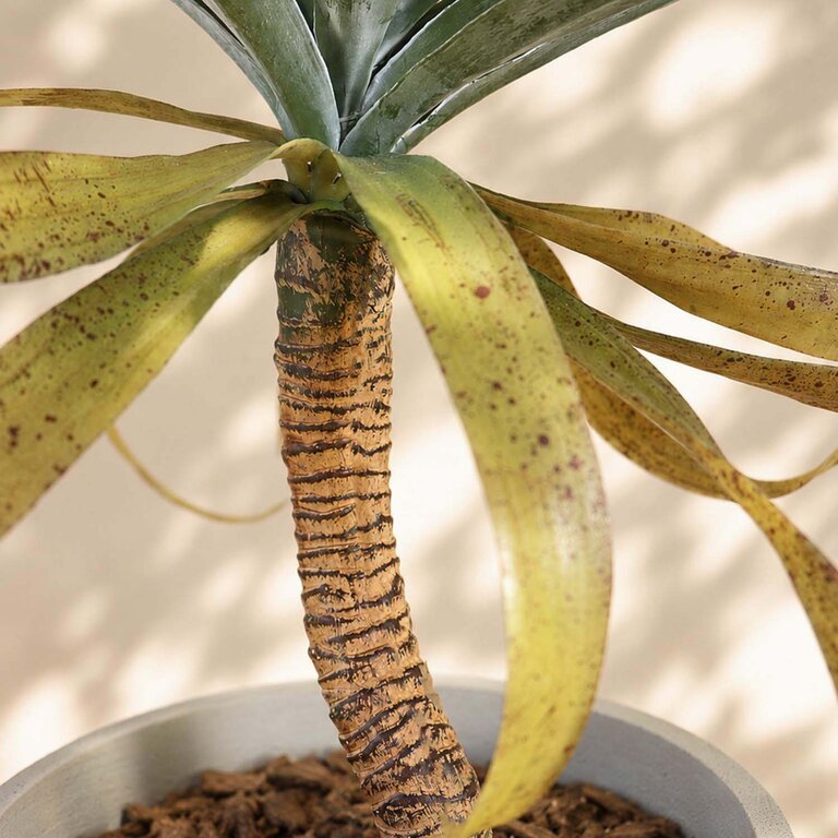Kunstplant Yucca op stam met groene bladeren is een middelgrote kunstplant in binnenpot met een natuurgetrouwe uitstraling en een hoogte van 75 cm.