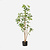 FloraWorks Kunstplant Theeplant (120 cm)