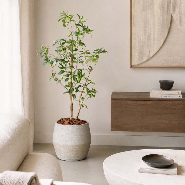Kunstplant Theeplant met groene bladeren is een middelgrote kunstplant in binnenpot met een natuurgetrouwe uitstraling en een hoogte van 120 cm.