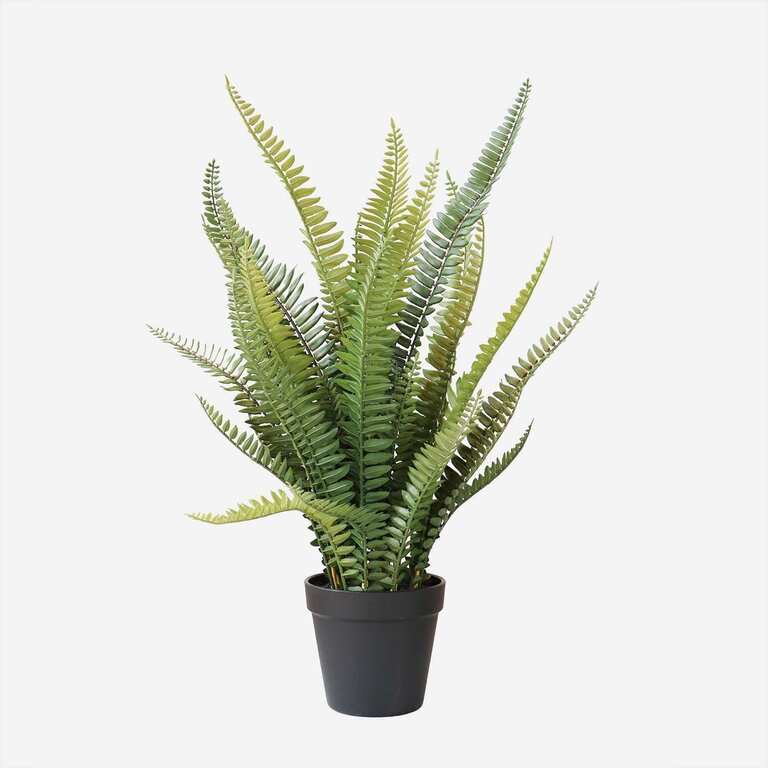 Kunstplant Boston Varen met groene bladeren is een middelgrote kunstplant in binnenpot met een natuurgetrouwe uitstraling en een hoogte van 55 cm.