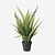 FloraWorks Kunstplant Boston Varen (55 cm)