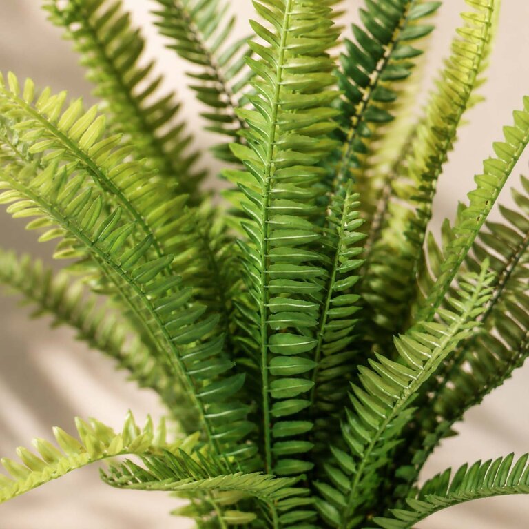 Kunstplant Boston Varen met groene bladeren is een middelgrote kunstplant in binnenpot met een natuurgetrouwe uitstraling en een hoogte van 55 cm.