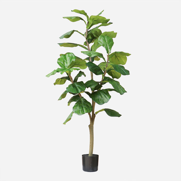 Kunstplant Ficus Lyrata met groene bladeren is een middelgrote kunstplant in binnenpot met een natuurgetrouwe uitstraling en een hoogte van 120 cm.