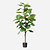 FloraWorks Kunstplant Ficus Lyrata (120 cm)