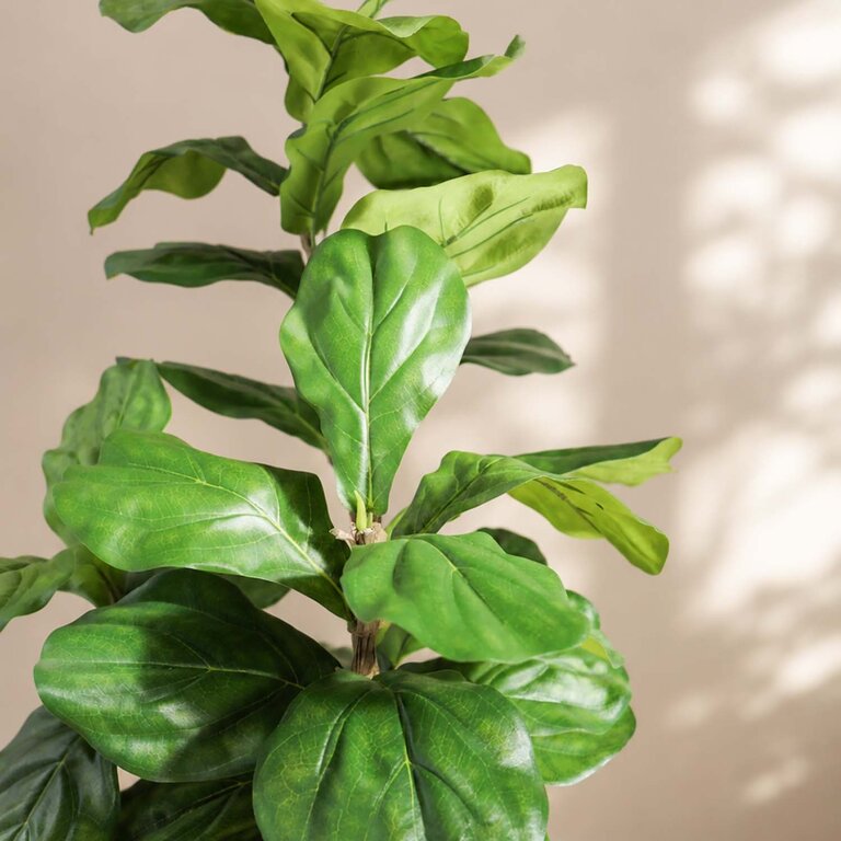 Kunstplant Ficus Lyrata met groene bladeren is een middelgrote kunstplant in binnenpot met een natuurgetrouwe uitstraling en een hoogte van 120 cm.