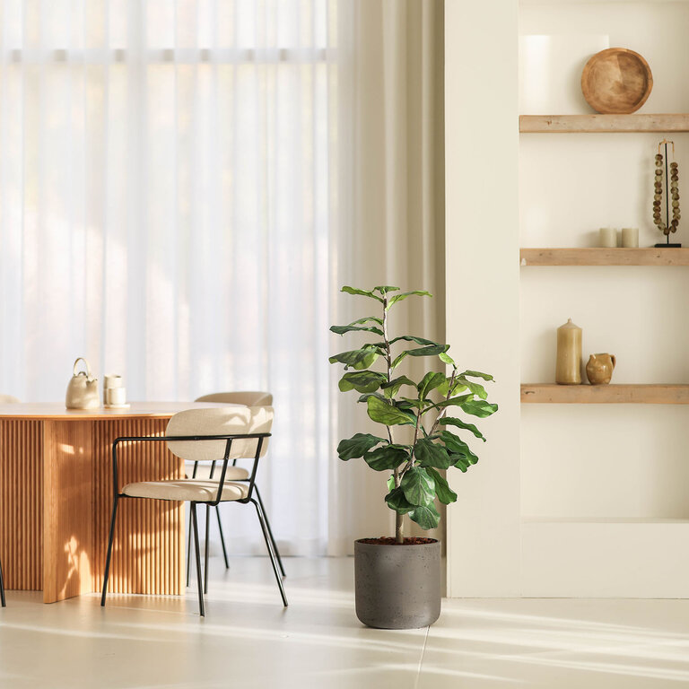 Kunstplant Ficus Lyrata met groene bladeren is een middelgrote kunstplant in binnenpot met een natuurgetrouwe uitstraling en een hoogte van 120 cm.