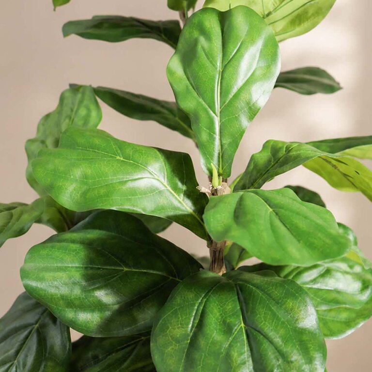 Kunstplant Ficus Lyrata met groene bladeren is een middelgrote kunstplant in binnenpot met een natuurgetrouwe uitstraling en een hoogte van 90 cm.