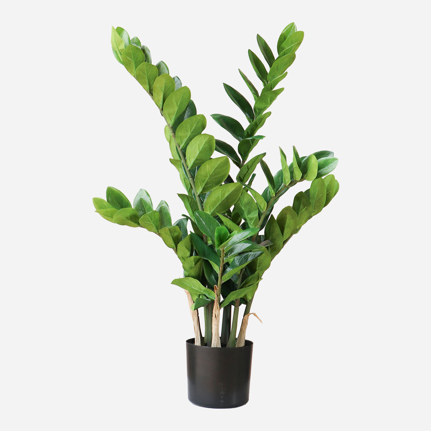 FloraWorks Kunstplant Zamioculcas (70 cm)