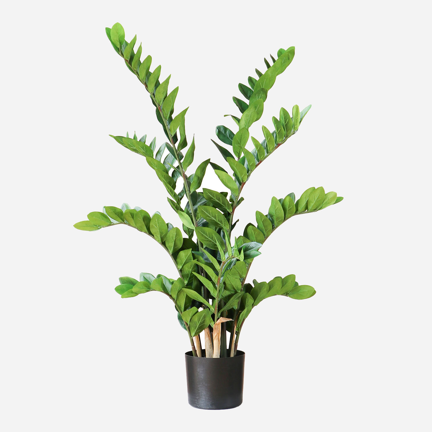FloraWorks Kunstplant Zamioculcas (110 cm)
