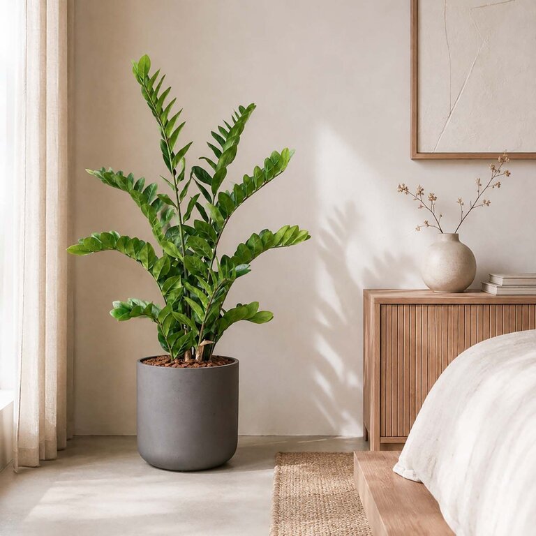Kunstplant Zamioculcas met groene bladeren is een middelgrote kunstplant in binnenpot met een natuurgetrouwe uitstraling en een hoogte van 110 cm.