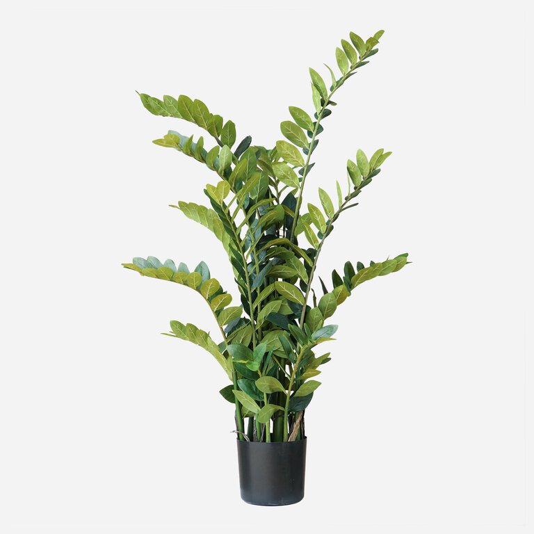 Kunstplant Zamioculcas met groene bladeren is een middelgrote kunstplant in binnenpot met een natuurgetrouwe uitstraling en een hoogte van 130 cm.
