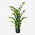FloraWorks Kunstplant Zamioculcas (130 cm)