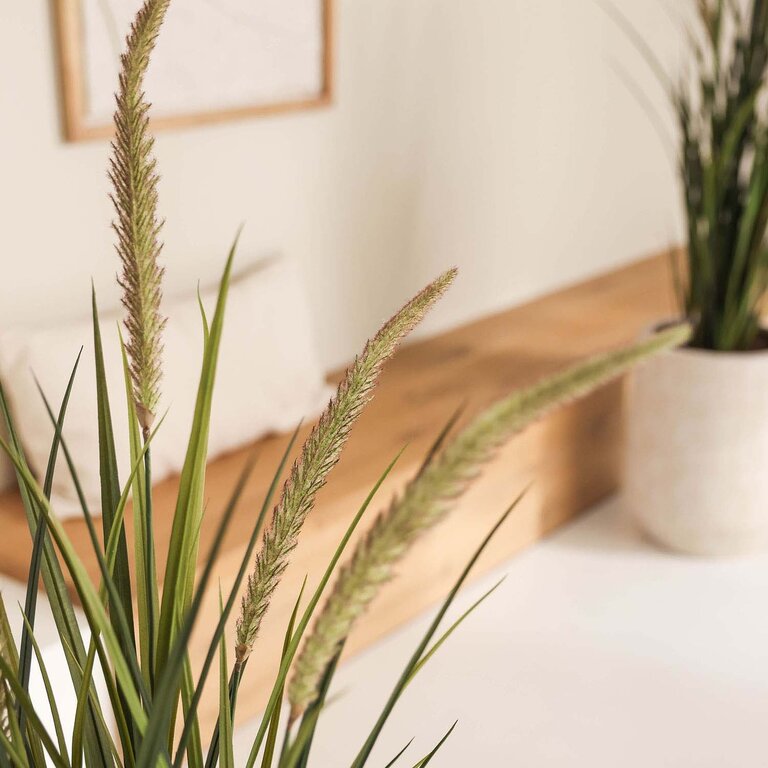 Kunstplant Foxtail gras is een kunstgras in binnenpot met een natuurgetrouwe uitstraling en een hoogte van 90 cm.