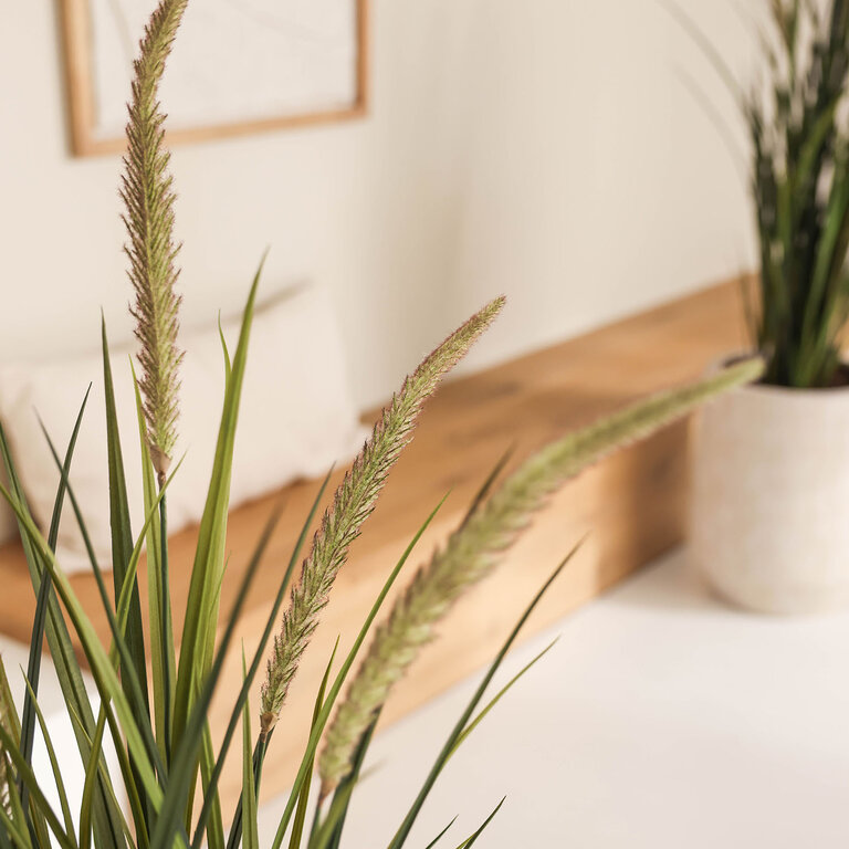 Kunstplant Foxtail gras is een kunstgras in binnenpot met een natuurgetrouwe uitstraling en een hoogte van 115 cm.