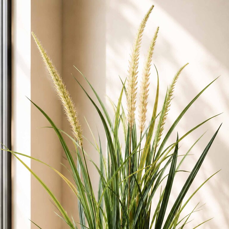Kunstplant Foxtail gras is een kunstgras in binnenpot met een natuurgetrouwe uitstraling en een hoogte van 115 cm.