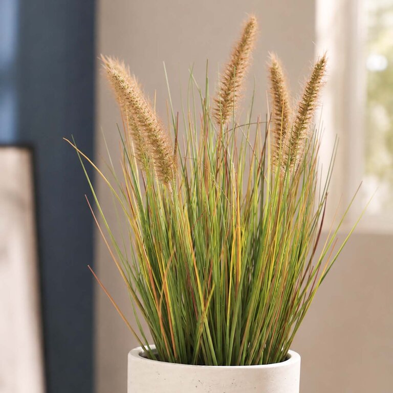 Kunstplant Pennisetum gras is een kunstgras in binnenpot met een natuurgetrouwe uitstraling en een hoogte van 45 cm.