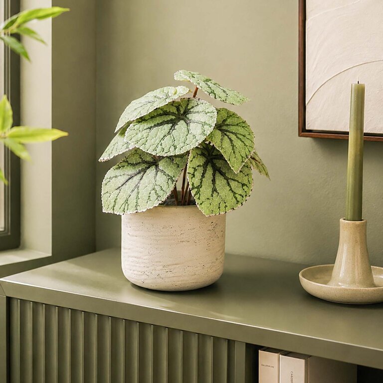 Kunstplant Begonia met groengrijze bladeren is een kleine kunstplant in binnenpot met een natuurgetrouwe uitstraling en een hoogte van 25 cm.