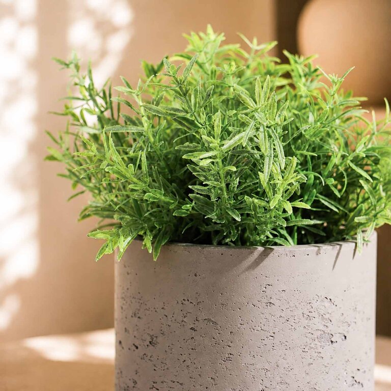 Kunstplant Rozemarijn met groene bladeren is een kleine kunstplant in binnenpot met een natuurgetrouwe uitstraling en een hoogte van 22 cm.